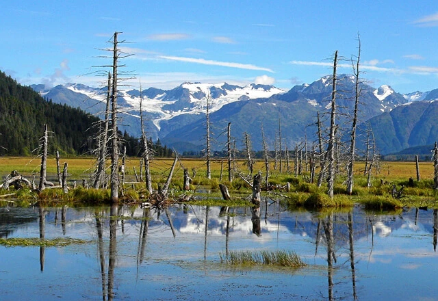 Kanada Urlaub: Best of Yukon & Alaska