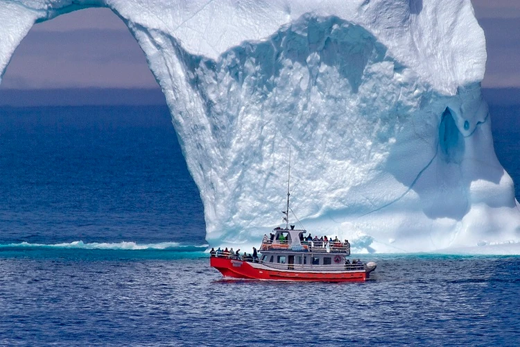 Abenteuertour im Urlaub in St John's: Mit einem Schiff auf Wal, Puffin & Eisberg Beobachtungstour