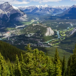 Der Banff Nationalpark bietet sich an um Pumas in Kanada zu beobachten